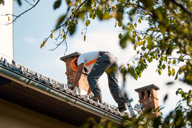 Best Gutter Installation and Repair  in Woodville, OH