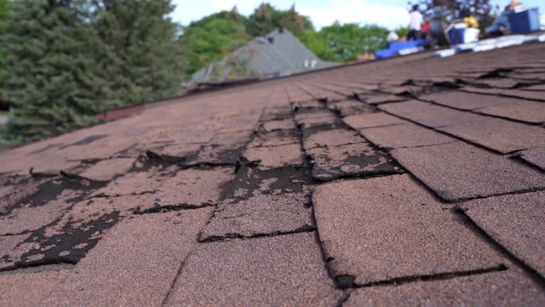 Best Rubber Roofing (EPDM, TPO)  in Woodville, OH