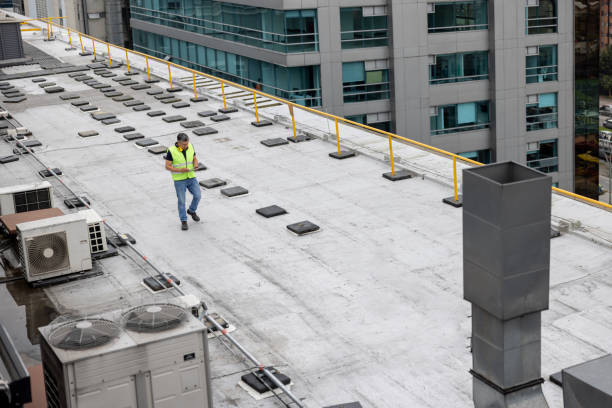 Best Sheet Metal Roofing  in Woodville, OH